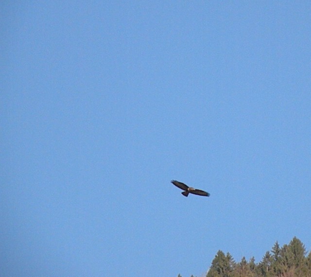 dalla finestra di casa...